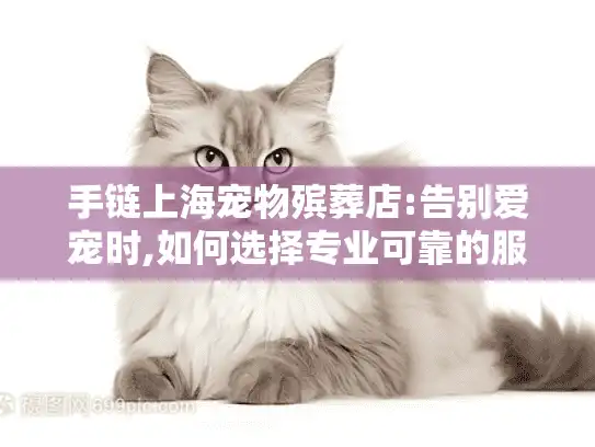 手链上海宠物殡葬店:告别爱宠时,如何选择专业可靠的服务机构?