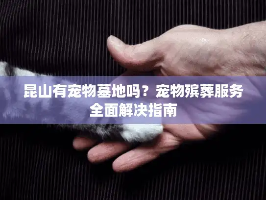 昆山有宠物墓地吗？宠物殡葬服务全面解决指南