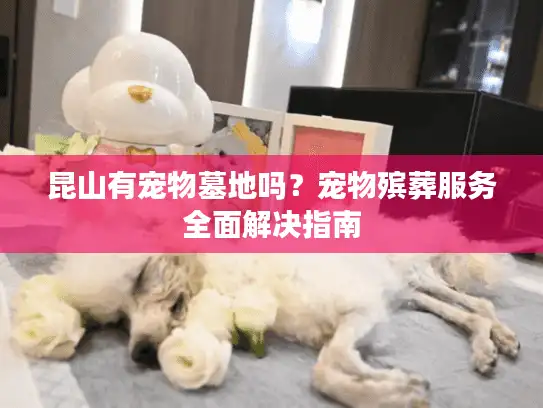 昆山有宠物墓地吗？宠物殡葬服务全面解决指南