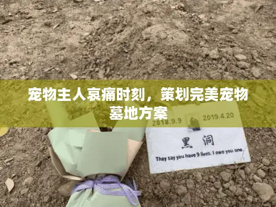 宠物主人哀痛时刻，策划完美宠物墓地方案