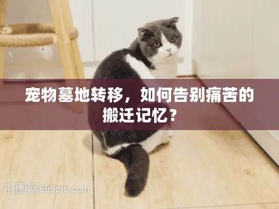 宠物墓地转移，如何告别痛苦的搬迁记忆？