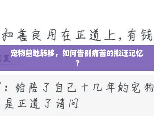 宠物墓地转移，如何告别痛苦的搬迁记忆？