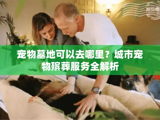 宠物墓地可以去哪里？城市宠物殡葬服务全解析
