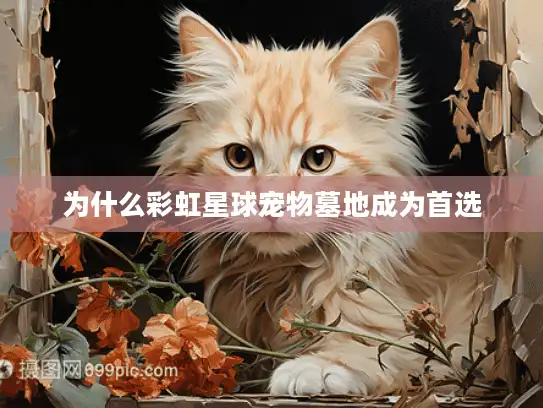 为什么彩虹星球宠物墓地成为首选