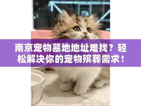 南京宠物墓地地址难找？轻松解决你的宠物殡葬需求！