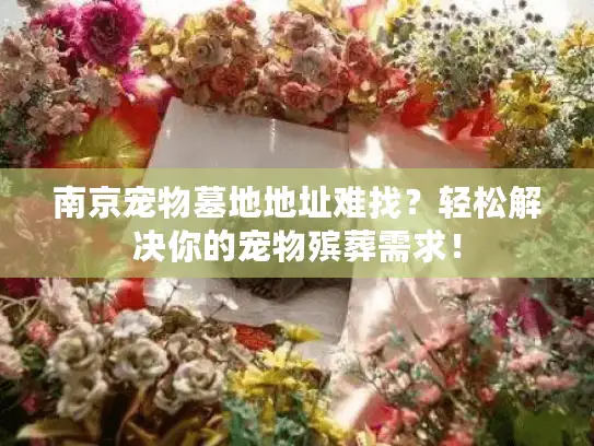 南京宠物墓地地址难找？轻松解决你的宠物殡葬需求！