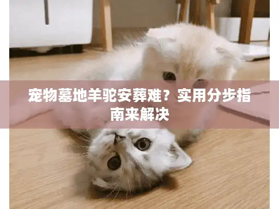 宠物墓地羊驼安葬难？实用分步指南来解决