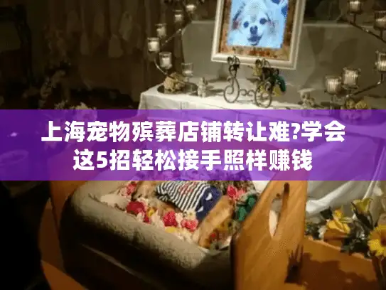 上海宠物殡葬店铺转让难?学会这5招轻松接手照样赚钱
