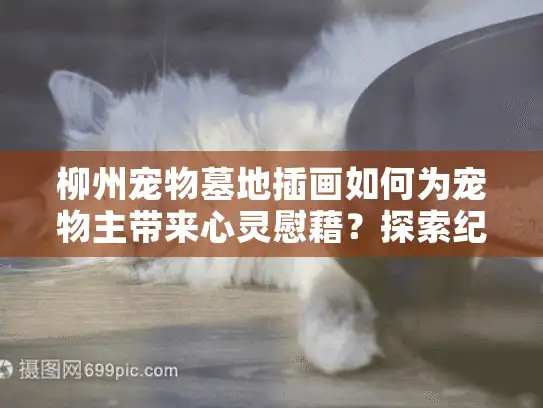 柳州宠物墓地插画如何为宠物主带来心灵慰藉？探索纪念新方式