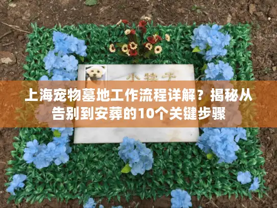 上海宠物墓地工作流程详解？揭秘从告别到安葬的10个关键步骤