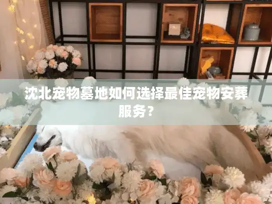 沈北宠物墓地如何选择最佳宠物安葬服务？