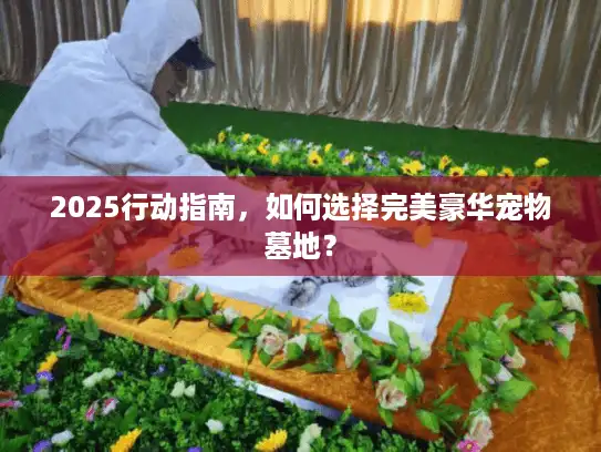 2025行动指南，如何选择完美豪华宠物墓地？