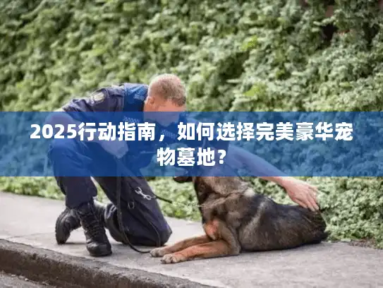 2025行动指南，如何选择完美豪华宠物墓地？