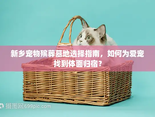 新乡宠物殡葬墓地选择指南，如何为爱宠找到体面归宿？