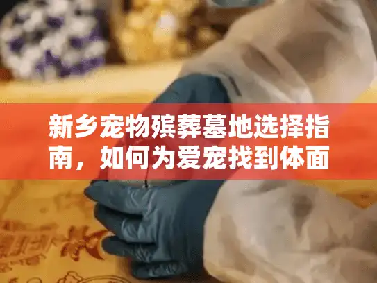新乡宠物殡葬墓地选择指南，如何为爱宠找到体面归宿？