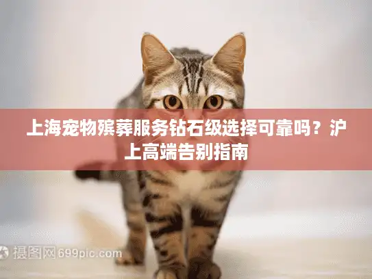 上海宠物殡葬服务钻石级选择可靠吗？沪上高端告别指南