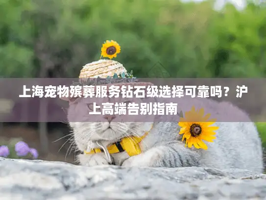 上海宠物殡葬服务钻石级选择可靠吗？沪上高端告别指南