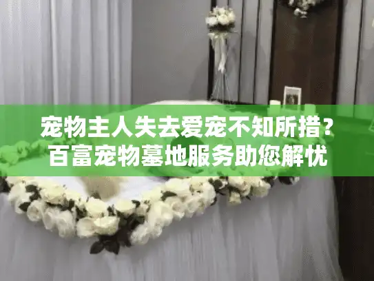 宠物主人失去爱宠不知所措？百富宠物墓地服务助您解忧
