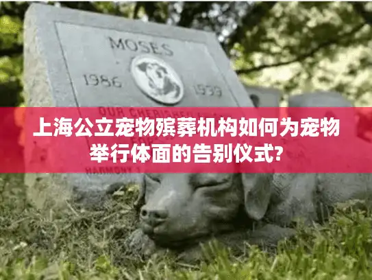 上海公立宠物殡葬机构如何为宠物举行体面的告别仪式?