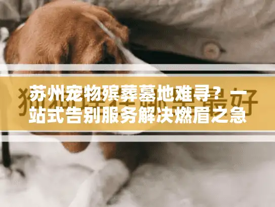 苏州宠物殡葬墓地难寻？一站式告别服务解决燃眉之急