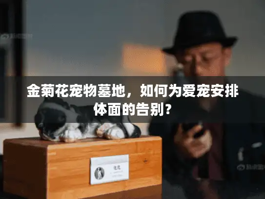 金菊花宠物墓地，如何为爱宠安排体面的告别？