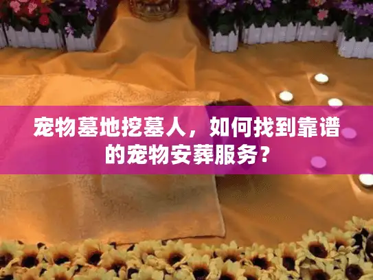 宠物墓地挖墓人，如何找到靠谱的宠物安葬服务？