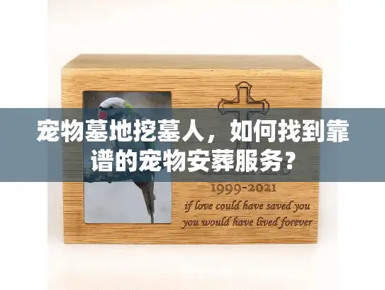 宠物墓地挖墓人，如何找到靠谱的宠物安葬服务？