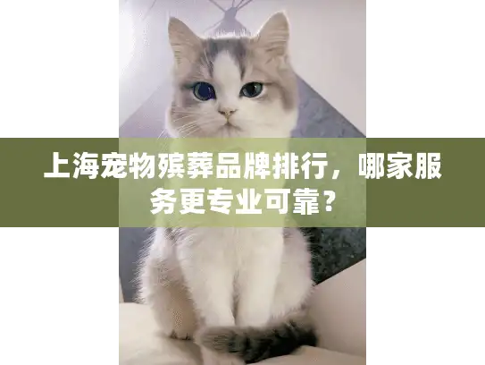上海宠物殡葬品牌排行，哪家服务更专业可靠？
