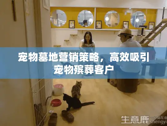 宠物墓地营销策略，高效吸引宠物殡葬客户