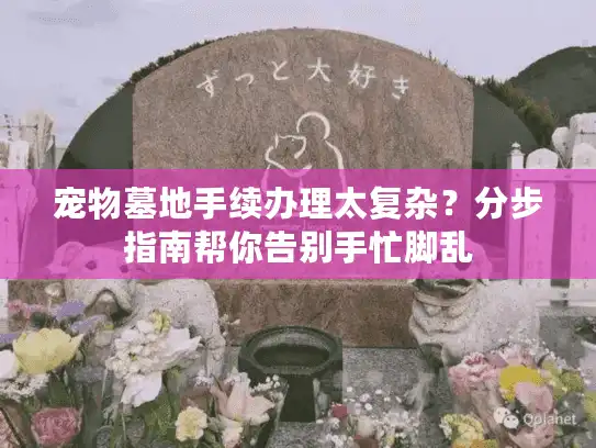 宠物墓地手续办理太复杂？分步指南帮你告别手忙脚乱