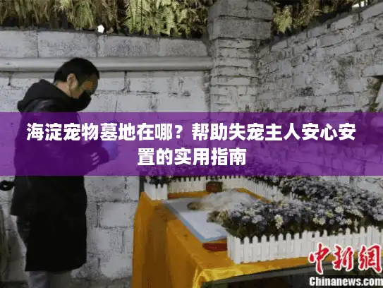 海淀宠物墓地在哪？帮助失宠主人安心安置的实用指南