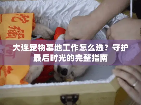 大连宠物墓地工作怎么选？守护最后时光的完整指南