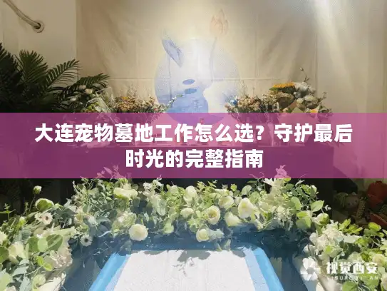 大连宠物墓地工作怎么选？守护最后时光的完整指南