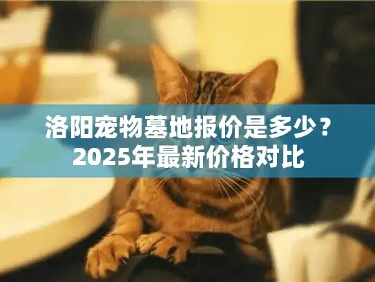 洛阳宠物墓地报价是多少？2025年最新价格对比