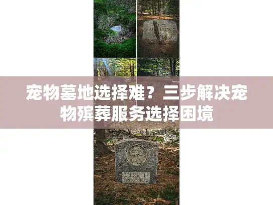 宠物墓地选择难？三步解决宠物殡葬服务选择困境