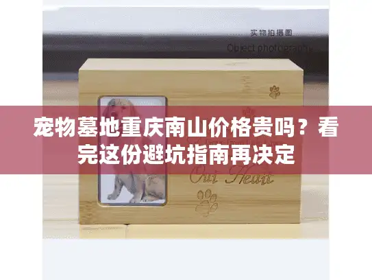 宠物墓地重庆南山价格贵吗？看完这份避坑指南再决定