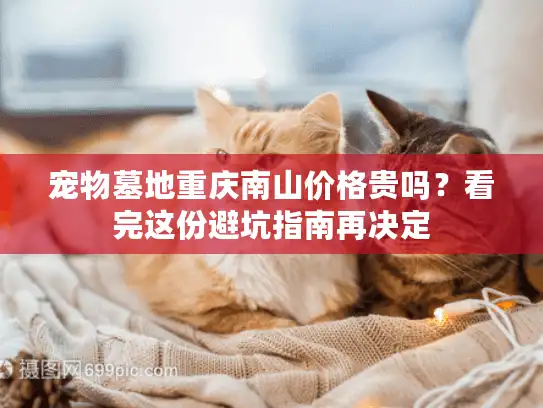 宠物墓地重庆南山价格贵吗？看完这份避坑指南再决定