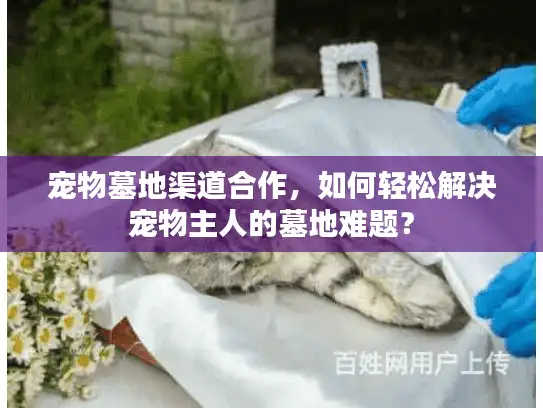 宠物墓地渠道合作，如何轻松解决宠物主人的墓地难题？