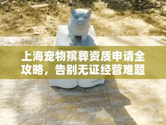上海宠物殡葬资质申请全攻略，告别无证经营难题