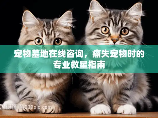 宠物墓地在线咨询，痛失宠物时的专业救星指南