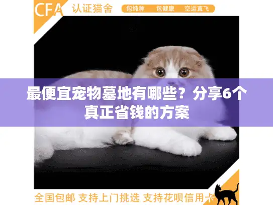 最便宜宠物墓地有哪些？分享6个真正省钱的方案