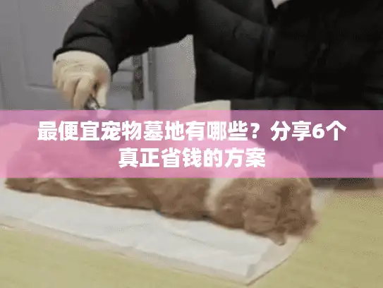 最便宜宠物墓地有哪些？分享6个真正省钱的方案