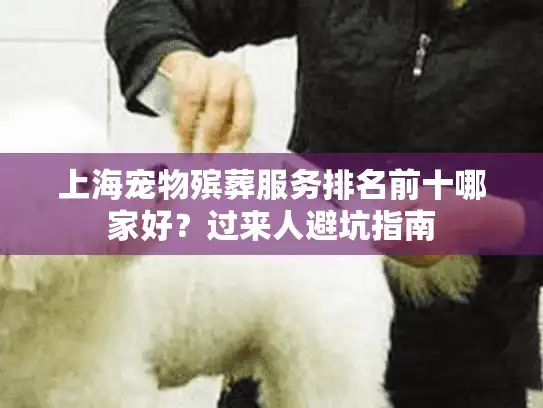 上海宠物殡葬服务排名前十哪家好？过来人避坑指南