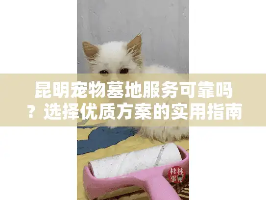 昆明宠物墓地服务可靠吗？选择优质方案的实用指南