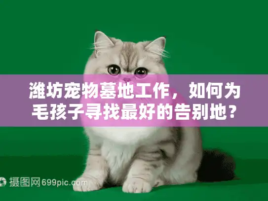 潍坊宠物墓地工作，如何为毛孩子寻找最好的告别地？