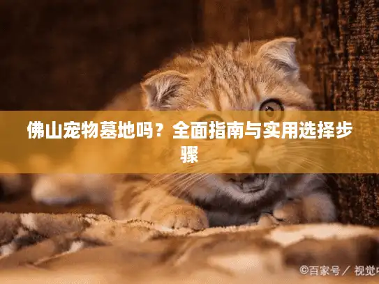 佛山宠物墓地吗？全面指南与实用选择步骤