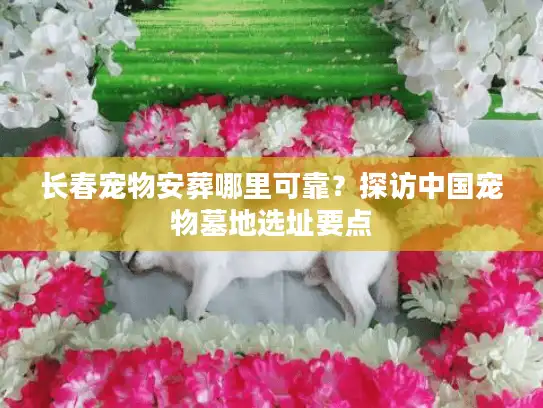 长春宠物安葬哪里可靠？探访中国宠物墓地选址要点