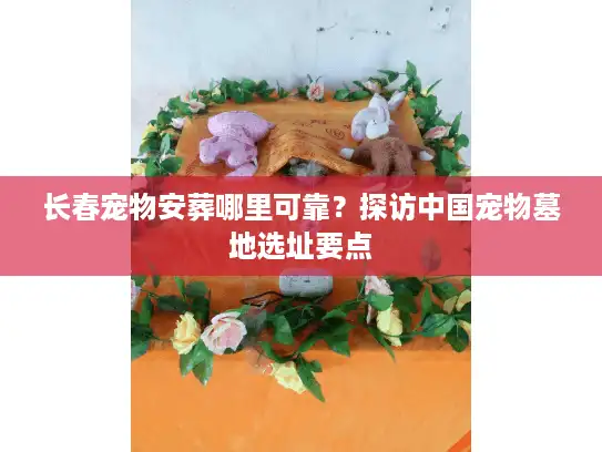 长春宠物安葬哪里可靠？探访中国宠物墓地选址要点
