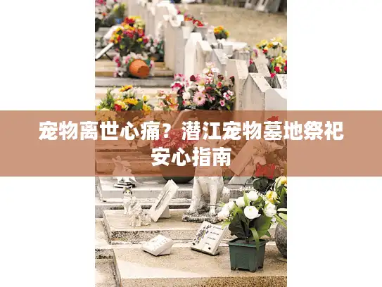 宠物离世心痛？潜江宠物墓地祭祀安心指南