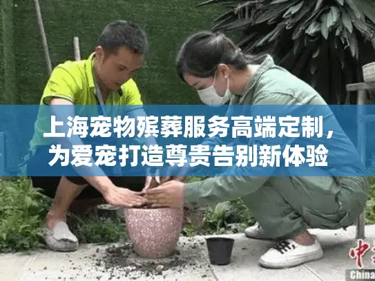 上海宠物殡葬服务高端定制，为爱宠打造尊贵告别新体验